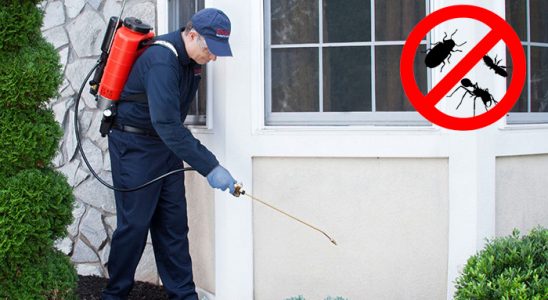Anamur Kemirgen İlaçlama böcek ilaçlama ve haşere kontrolü — ilaclama-tr.com